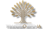 Transbordo IA